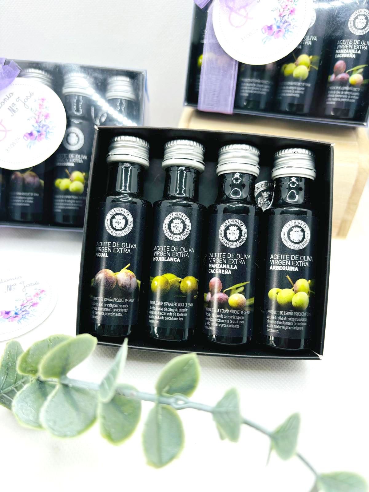 Cata de aceites2